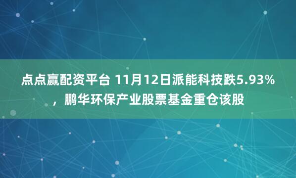 点点赢配资平台 11月12日派能科技跌5.93%，鹏华环保产业股票基金重仓该股