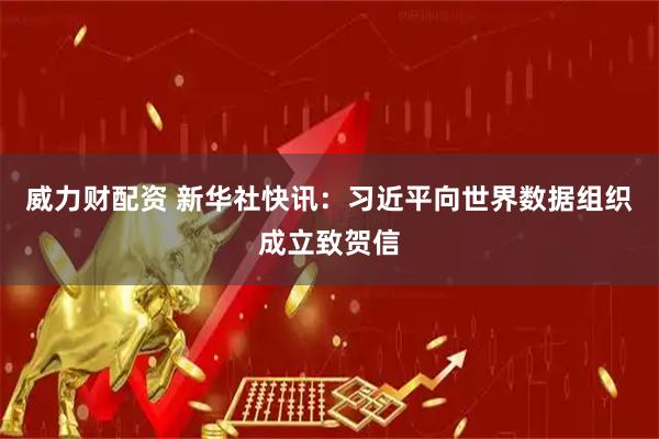 威力财配资 新华社快讯：习近平向世界数据组织成立致贺信