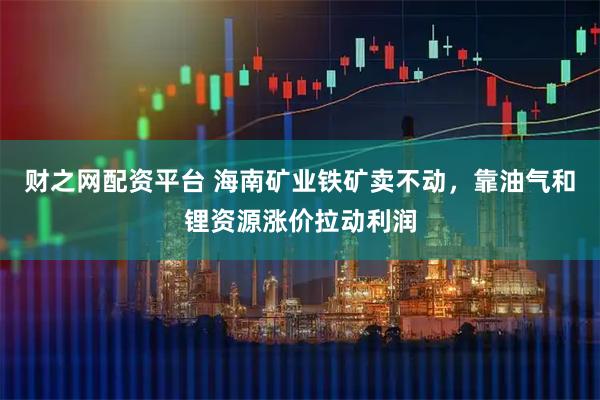 财之网配资平台 海南矿业铁矿卖不动，靠油气和锂资源涨价拉动利润
